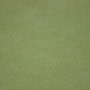 Alcantara Pannel 1045 Lime Tree