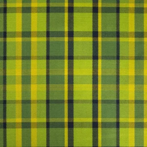 VW Westfalia T2 Green Yellow