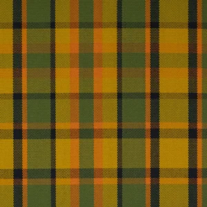 VW Westfalia T2 Orange Green